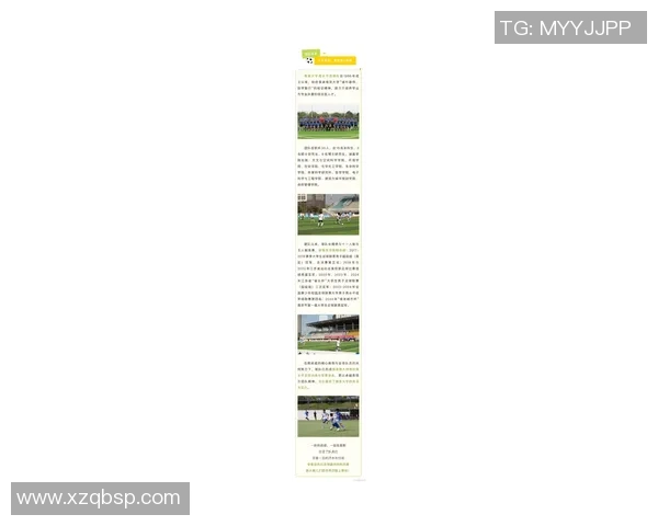 南京足球队在联合会杯中的实力表现全面解析与未来展望